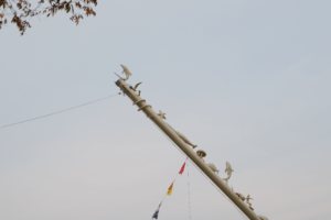 宇野駅のアート